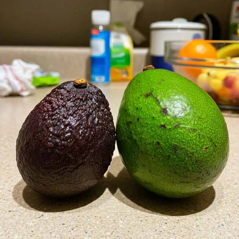 Consider the Avocado Variety